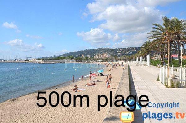Paradis Appartement
